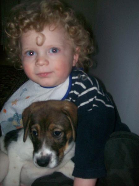 Brian et Chipie le toutou de Mamie Betty