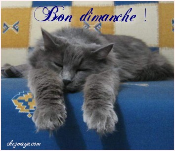 bon dimanche
